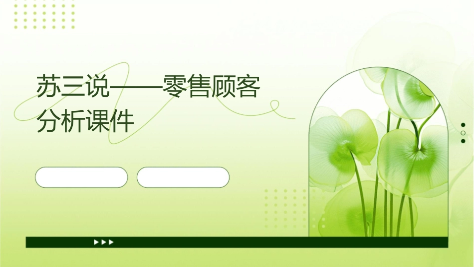 苏三说——零售顾客分析课件_第1页