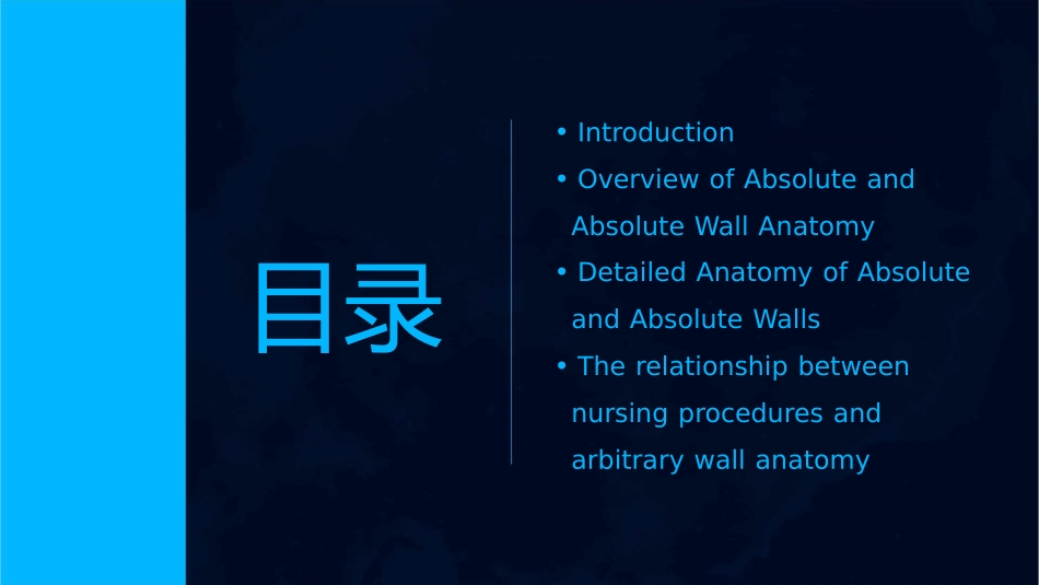 局部解剖之腹部腹壁解剖英文版护理课件_第2页