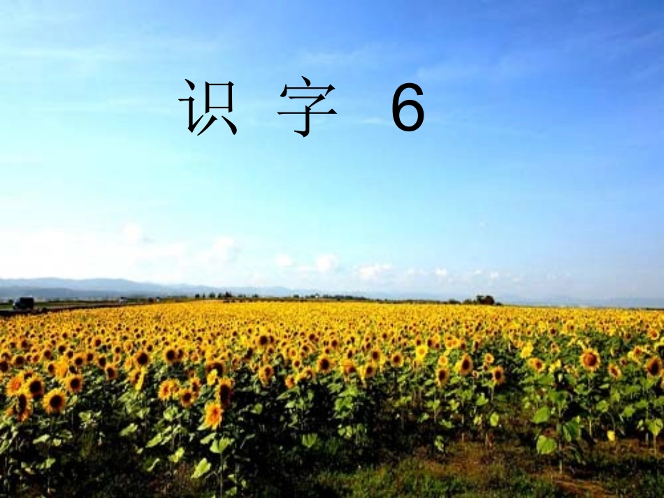 二年级语文上册识字六课件_第1页