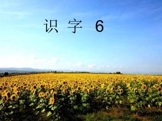 二年级语文上册识字六课件
