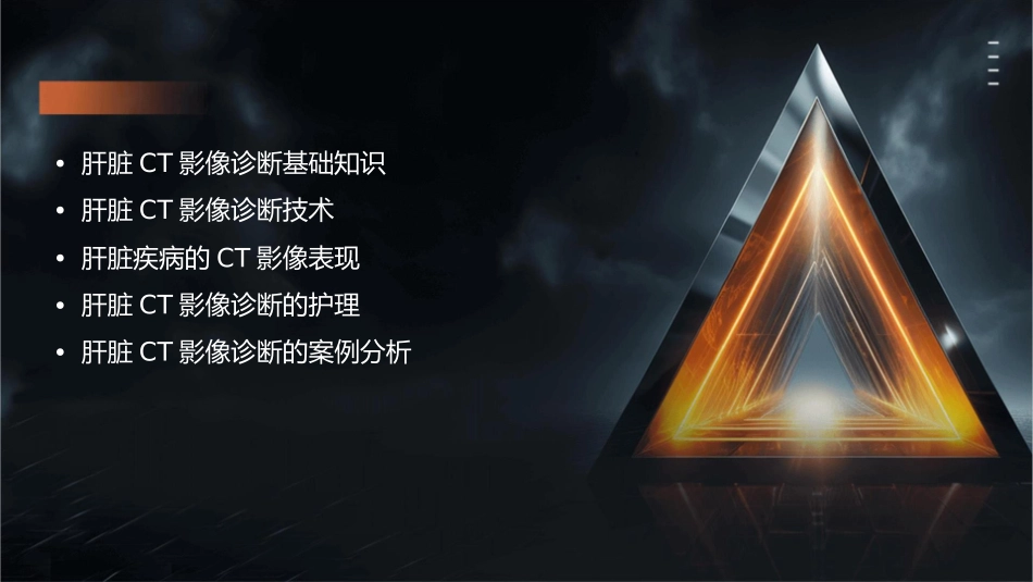 肝脏CT影像诊断护理课件_第2页