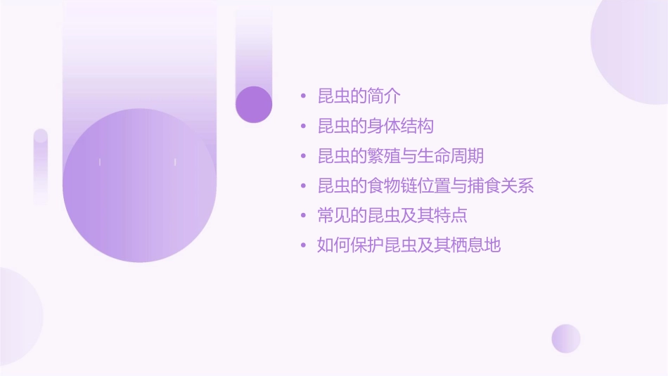 认识昆虫(家长进课堂)课件_第2页