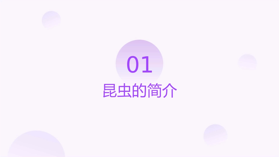 认识昆虫(家长进课堂)课件_第3页