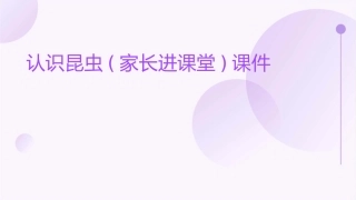 认识昆虫(家长进课堂)课件