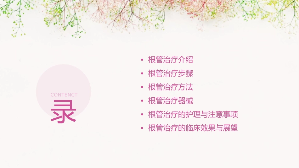 根管治疗的步骤方法器械课件_第2页