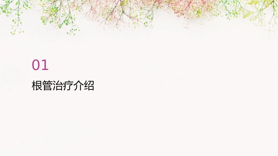根管治疗的步骤方法器械课件_第3页