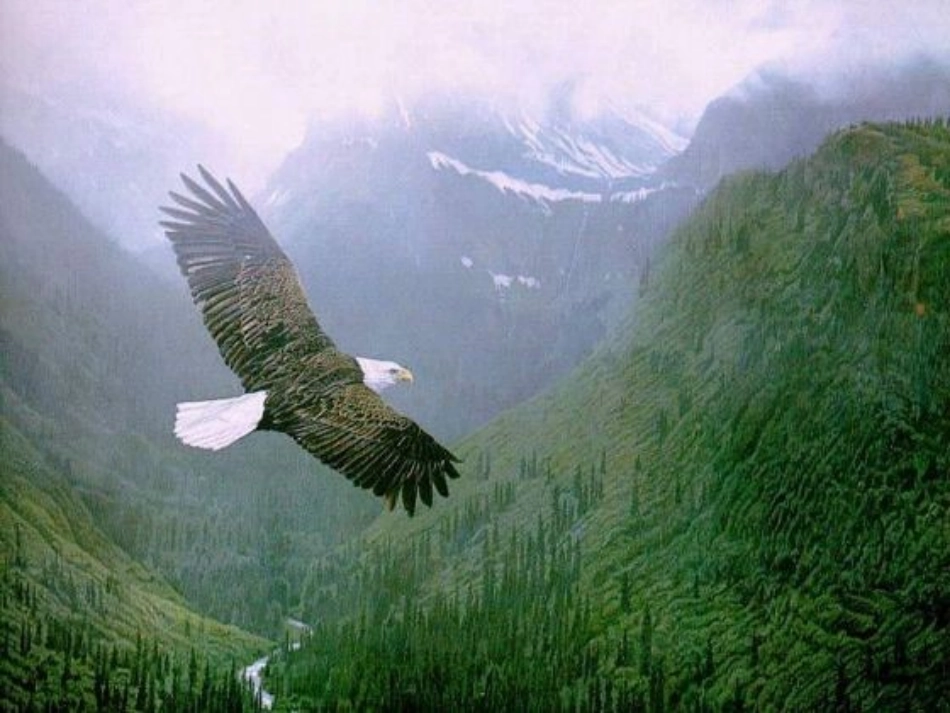 《在山的那边》课件_第3页