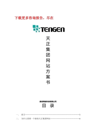 奥肯-天正-集团网站方案书