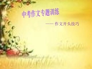 中考作文开头技巧训练专题