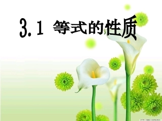 等式的性质MicrosoftPowerPoint幻灯片