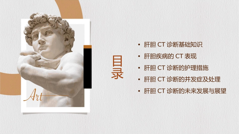 肝胆CT诊断护理课件_第2页