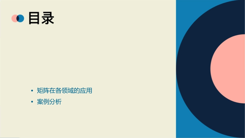 矩阵分析及矩阵函数课件_第2页