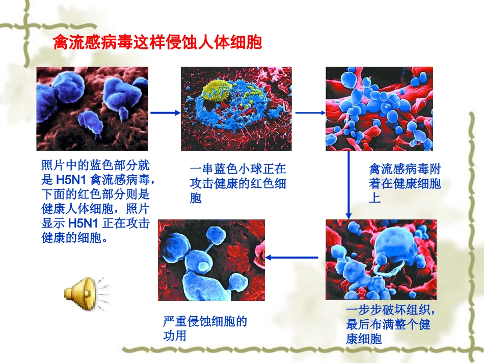 曹静——课程设计_第3页