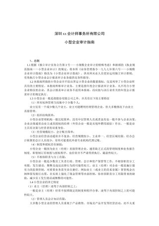 深圳某公司小型企业审计指南