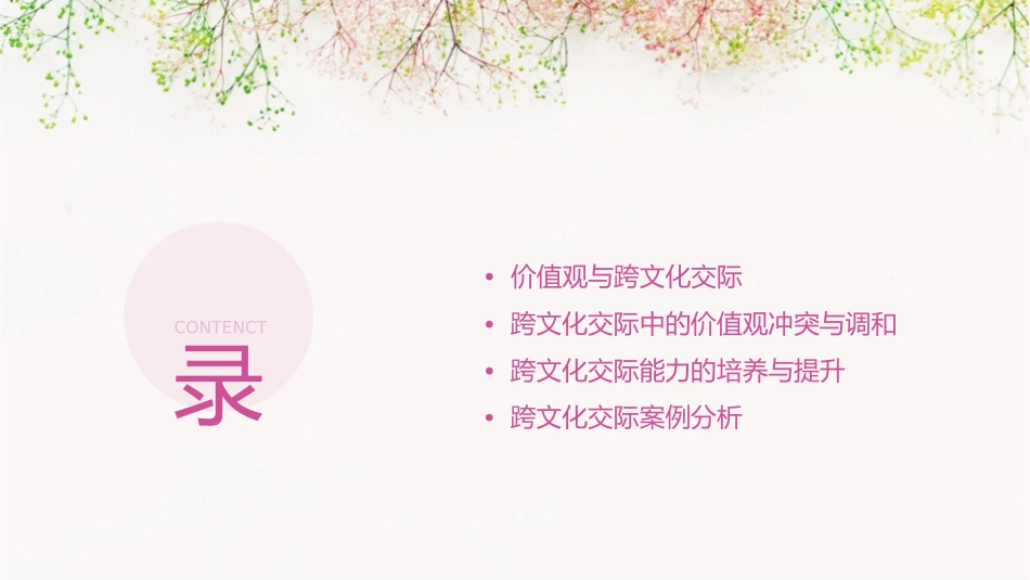 跨文化交际价值观课件_第2页