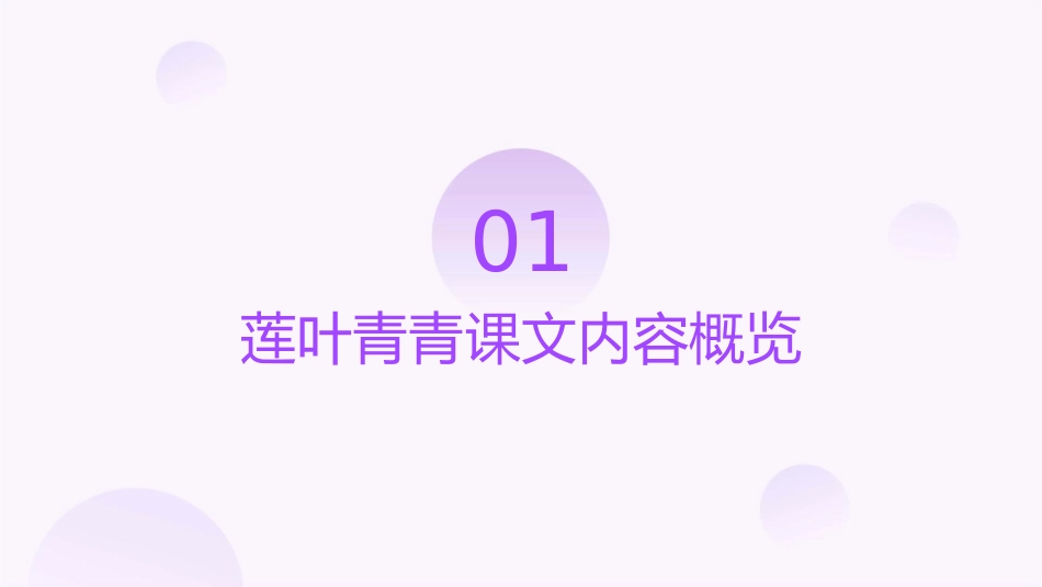 莲叶青青课文图片课件_第3页