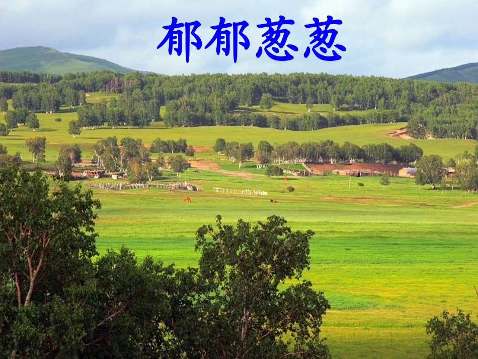 一个小村庄的故事(公开课的课件)_第2页