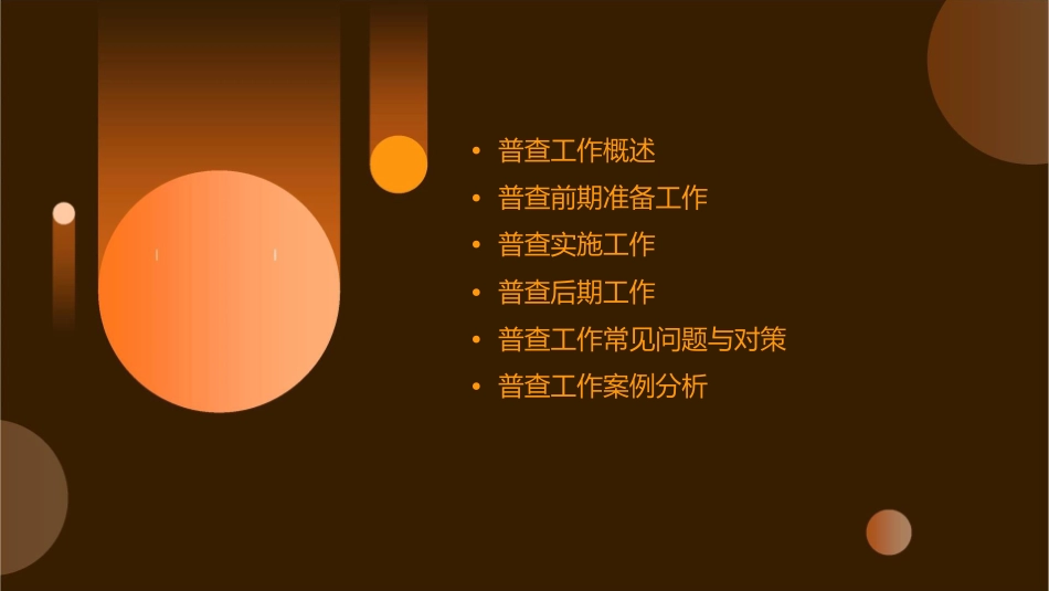 普查工作概要流程课件_第2页