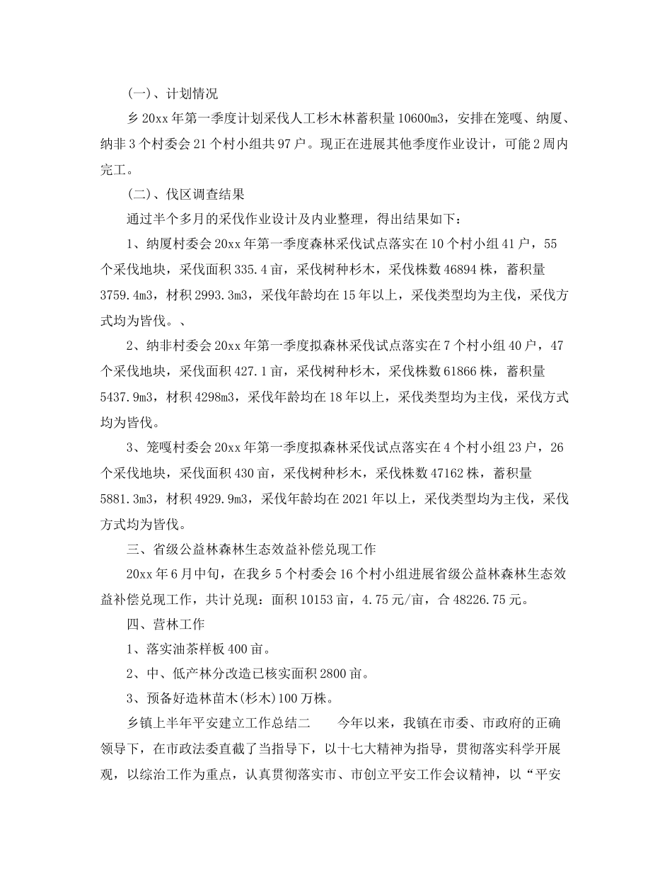 乡镇上半年工作参考总结「3篇」_第2页