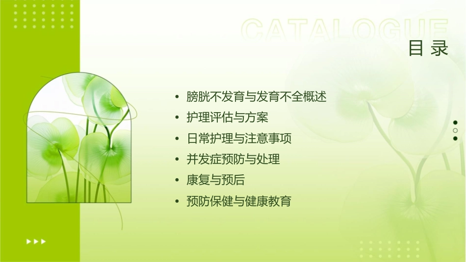 膀胱不发育与发育不全护理课件_第2页