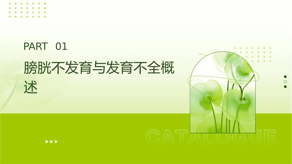 膀胱不发育与发育不全护理课件_第3页