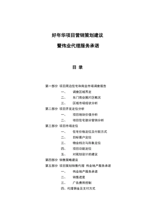 深圳东门好年华项目营销策划方案