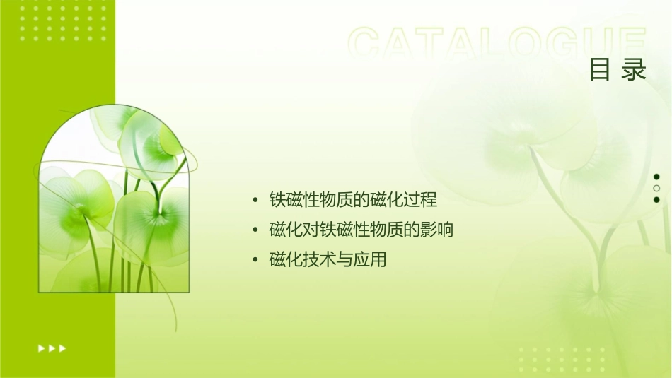 铁磁性物质的磁化课件_第2页