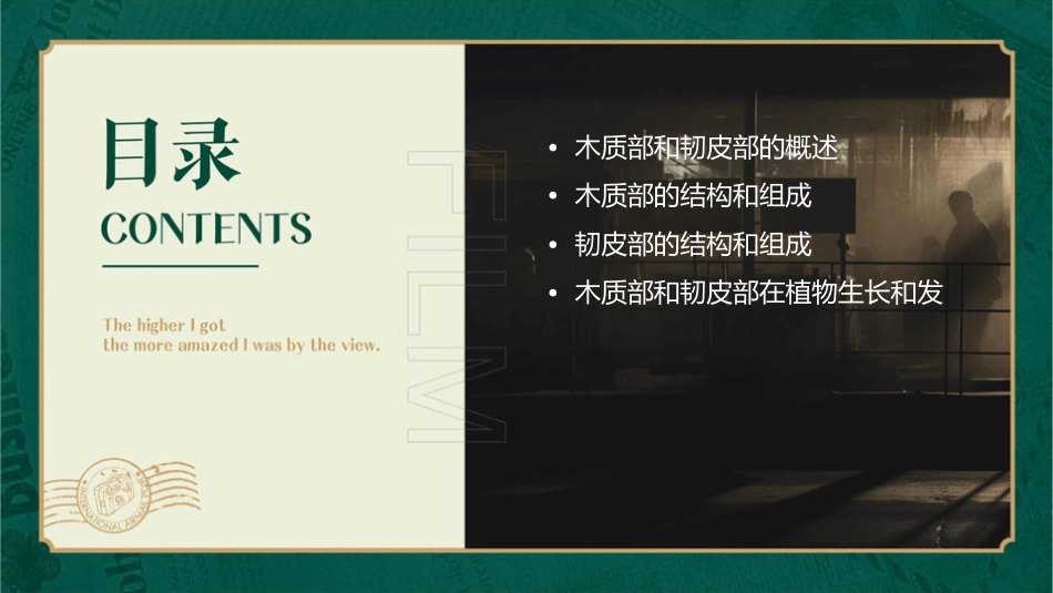 木质部和韧皮部课件_第2页