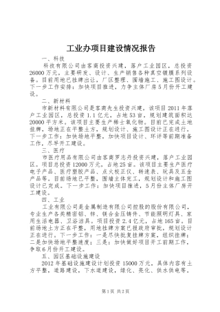工业办项目建设情况报告