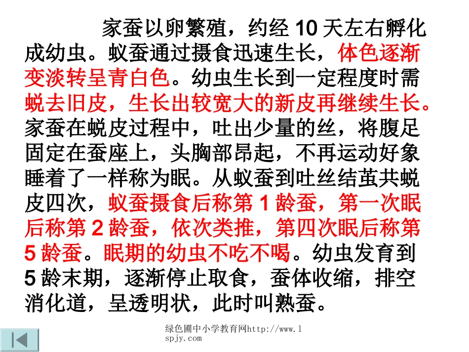 蚕的生长变化PPT_第2页