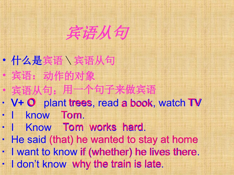 中考复习-宾语从句_第2页