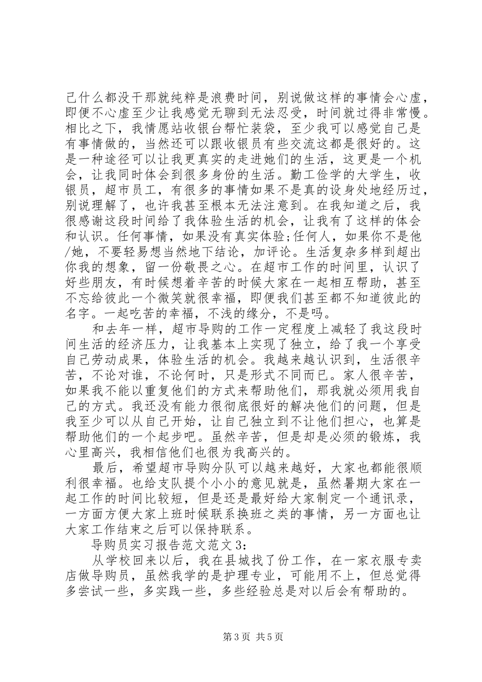 导购员实习报告范文_第3页