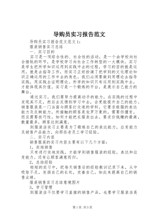导购员实习报告范文