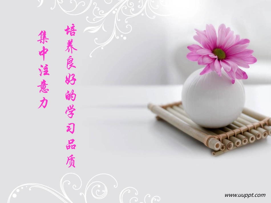 培养良好学习品质：集中注意力_第1页