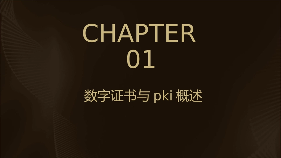 数字证书与PKI分析课件_第3页