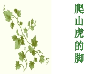 四年级《爬山虎的脚》教学课件