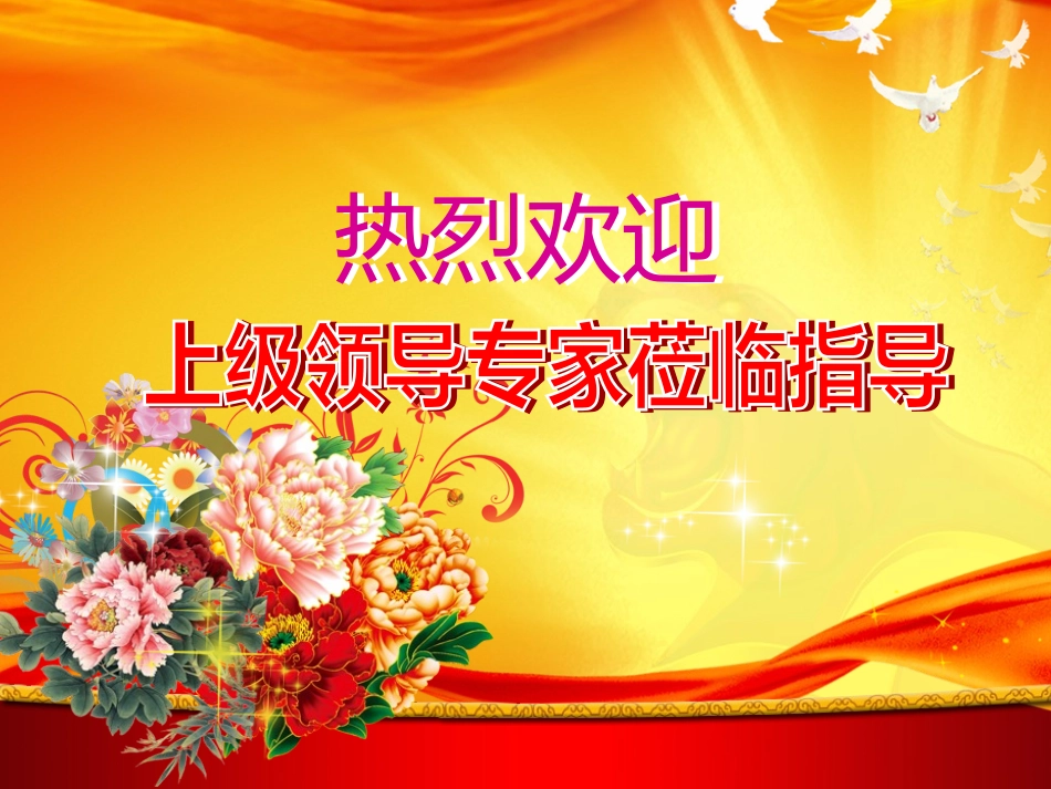 慈化中心小学省一级图书馆建设工作汇报_第1页