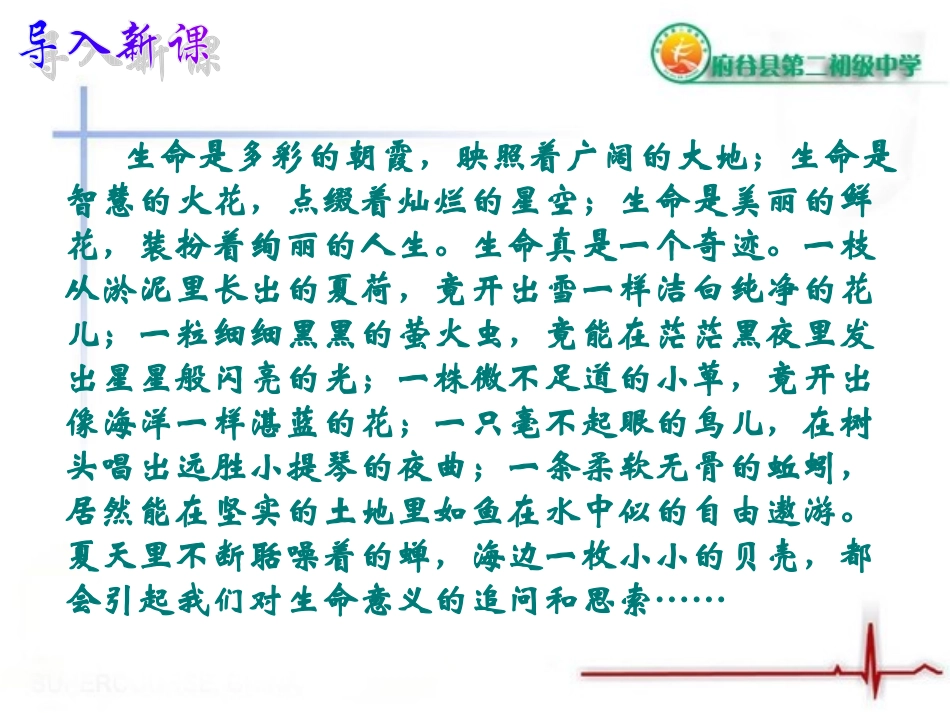 《短文两篇》（蝉，贝壳）PPT课件_第1页