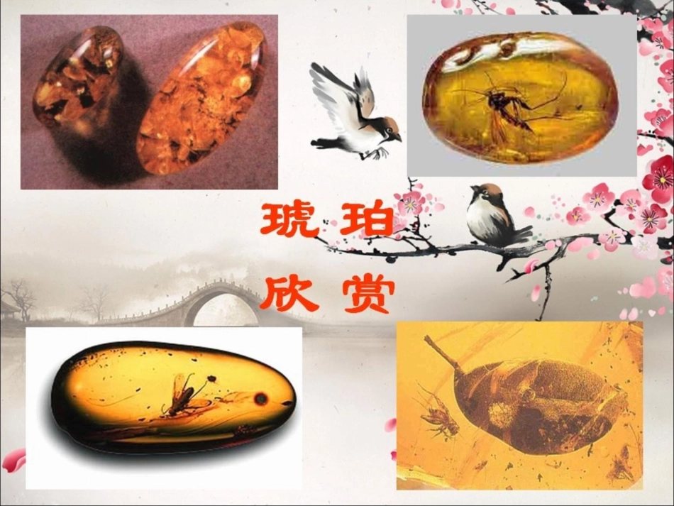 六年级语文上册奇异的琥珀课件（1）语文S版_第3页