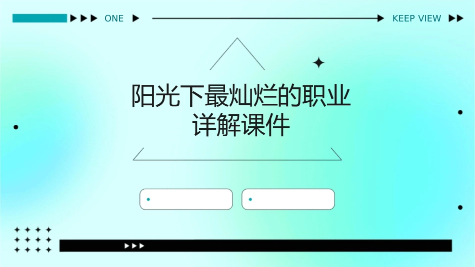 阳光下最灿烂的职业详解课件_第1页