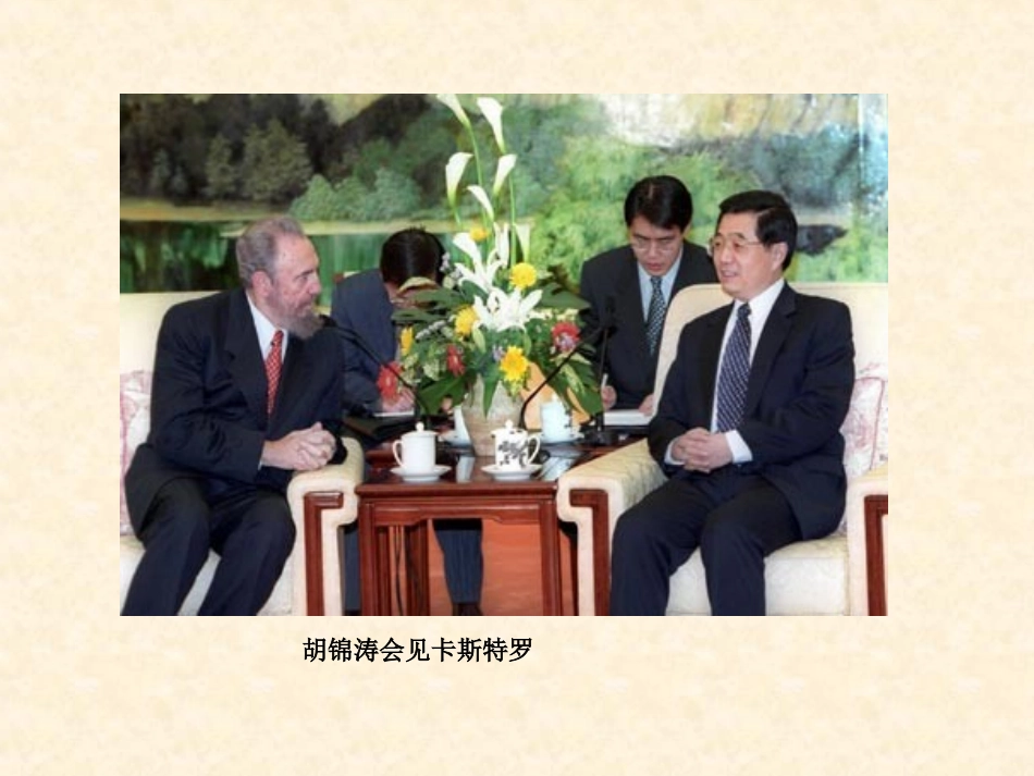 复习12课亚非拉美演示文稿_第3页