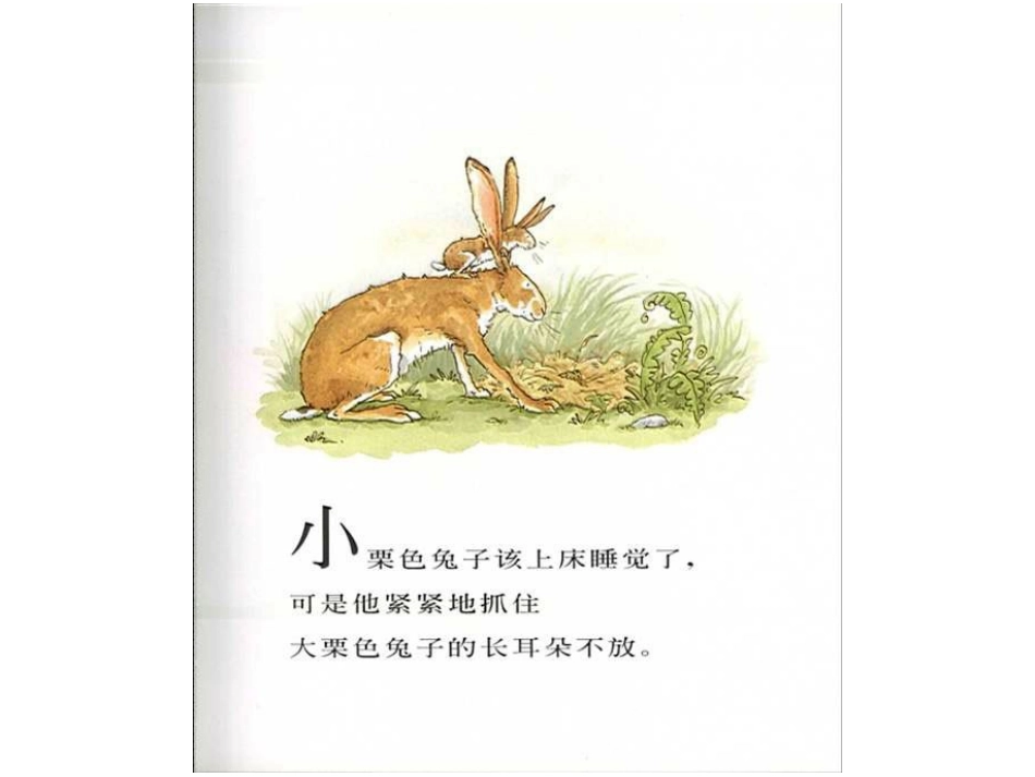 猜猜我有多爱你_第2页