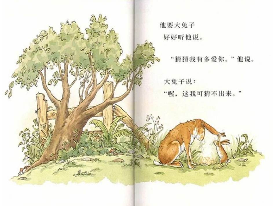 猜猜我有多爱你_第3页