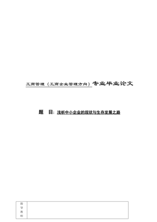 浅析中小企业的现状与生存发展之路