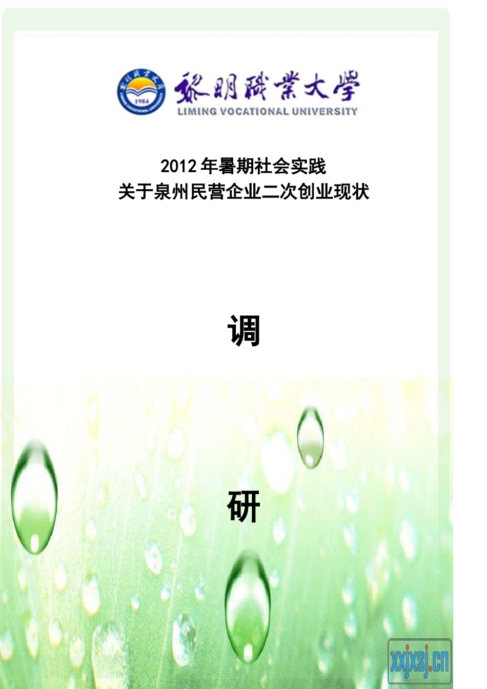泉州民营企业二次创业现状调查报告_第1页