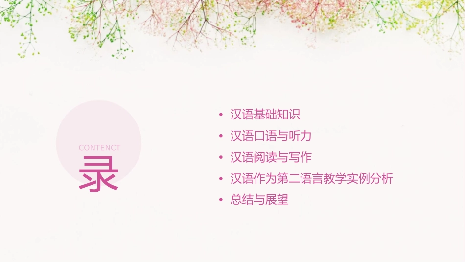 汉语作为第二语言教学的目的与内容课件_第2页