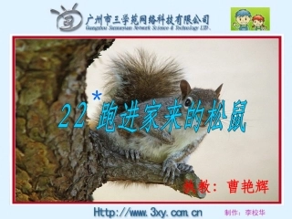 《跑进家来的松鼠》课件