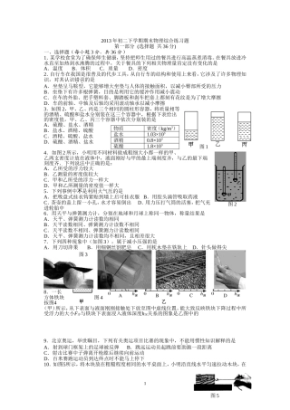 2013年初二下学期物理期末综合练习题