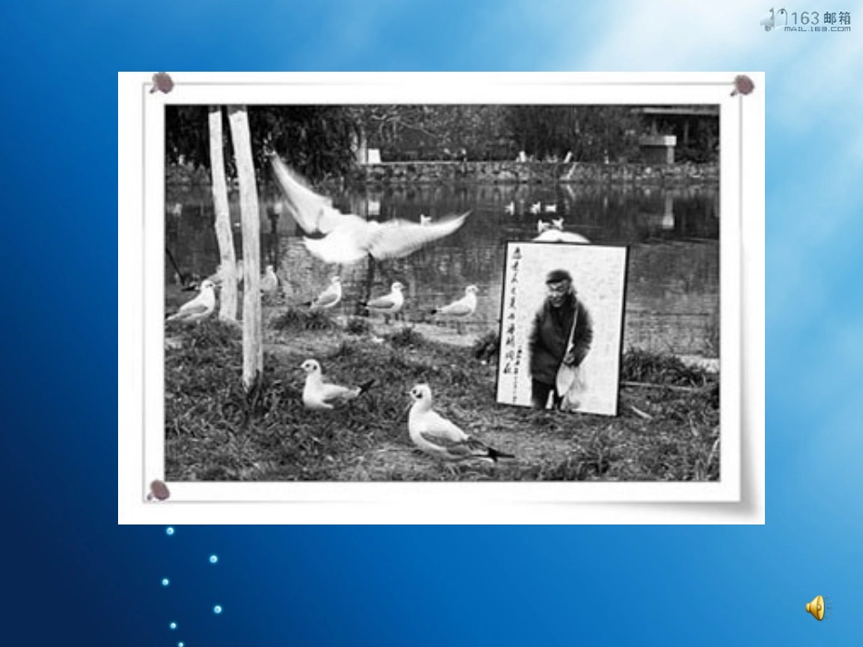 老人与海鸥PPT课件_第2页