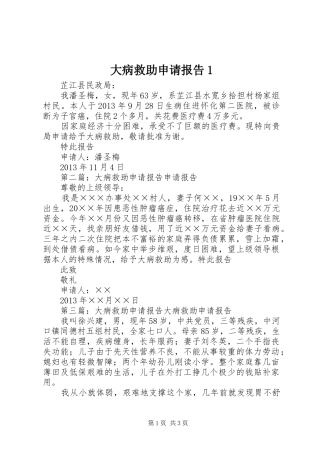 大病救助申请报告1